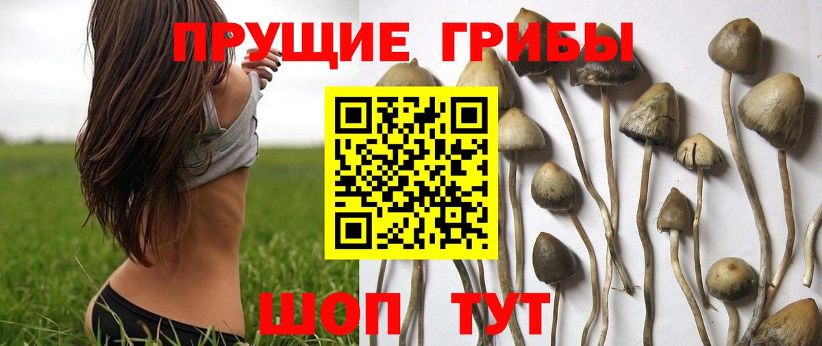 Галлюциногенные грибы мухоморы  Вход с VPN  Ишим 