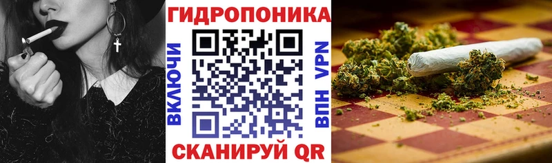 Марихуана сатива  даркнет сайт  Ишим 